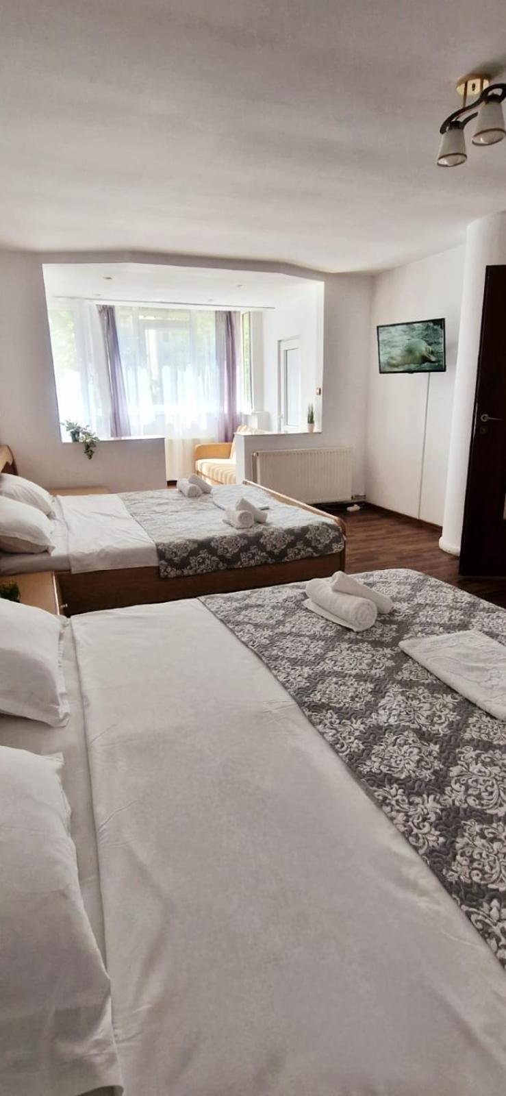 Stephanie Apartment-Centru Civic Braşov Exteriör bild