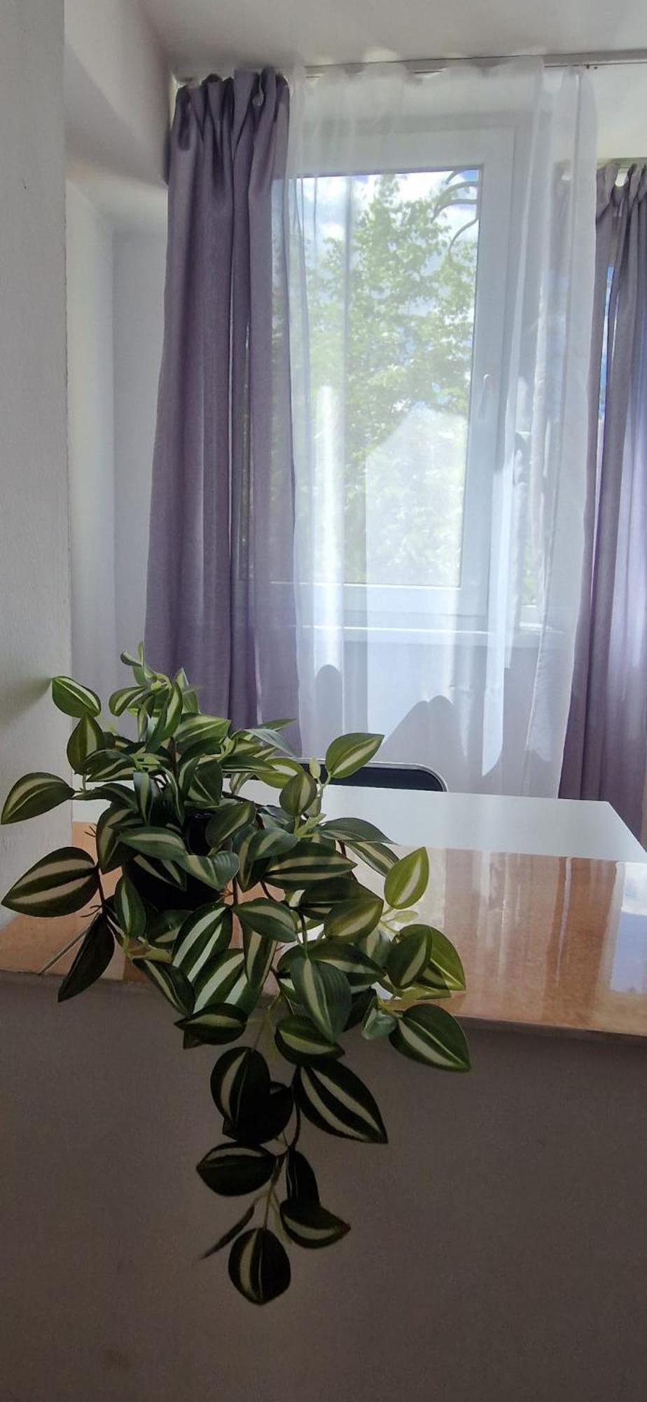 Stephanie Apartment-Centru Civic Braşov Exteriör bild